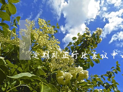 逾期补正行政复议申请通知书的 逾期补正行政复议申请通知书的
