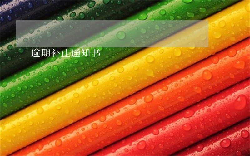 逾期补正通知书 逾期补正通知书