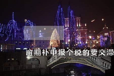 逾期补申报个税的要交滞纳金 逾期补申报个税的要交滞纳金