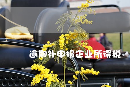 逾期补申报企业所得税 逾期补申报企业所得税