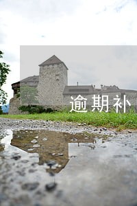 逾期补申报先处罚才能申报吗 逾期补申报先处罚才能申报吗
