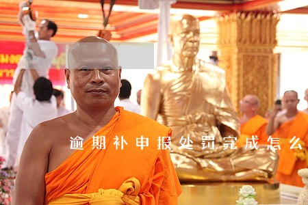 逾期补申报处罚完成怎么把结案 逾期补申报处罚完成怎么把结案