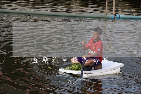 逾期补申报怎么写