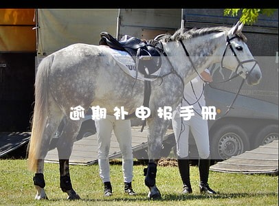 逾期补申报手册 逾期补申报手册