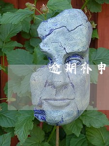 逾期补申报抄报税 逾期补申报抄报税