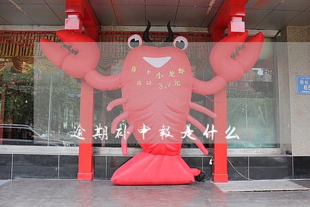 逾期补申报是什么 逾期补申报是什么