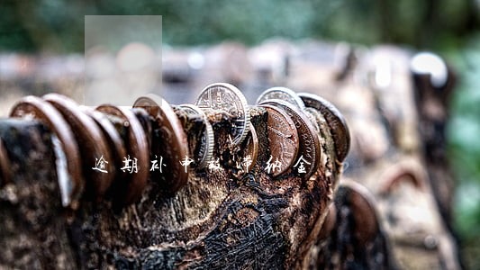逾期补申报滞纳金 逾期补申报滞纳金