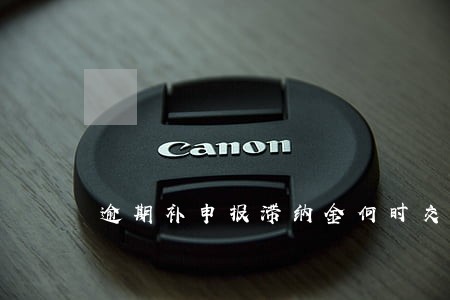 逾期补申报滞纳金何时交 逾期补申报滞纳金何时交