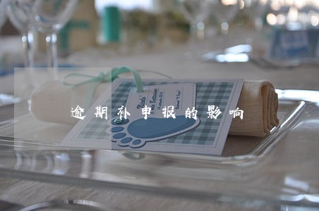 逾期补申报的影响 逾期补申报的影响