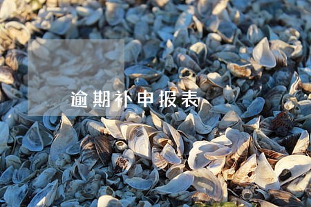 逾期补申报表 逾期补申报表