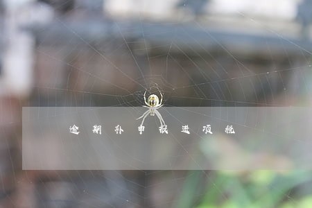 逾期补申报进项税 逾期补申报进项税