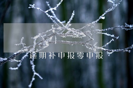 逾期补申报零申报 逾期补申报零申报