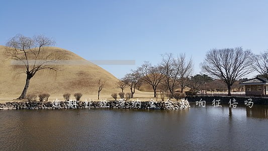 逾期补税滞纳金会影响征信吗 逾期补税滞纳金会影响征信吗