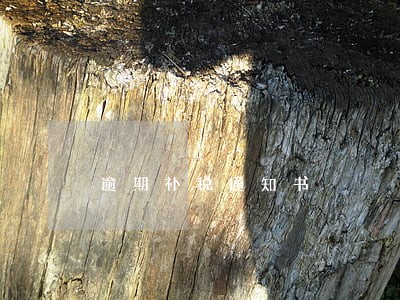 逾期补税通知书 逾期补税通知书