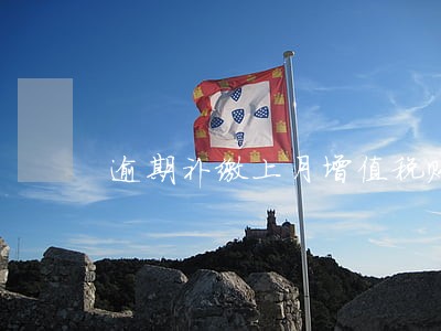 逾期补缴上月增值税账务怎么处理 逾期补缴上月增值税账务怎么处理