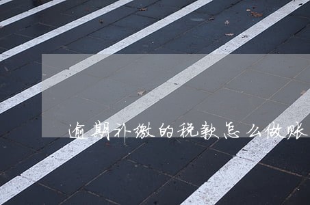 逾期补缴的税款怎么做账