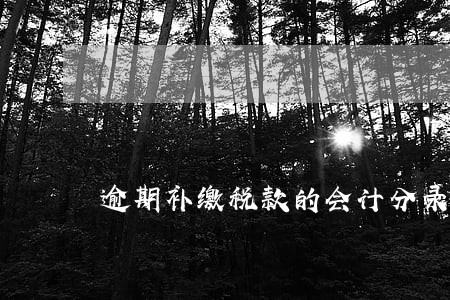 逾期补缴税款的会计分录 逾期补缴税款的会计分录