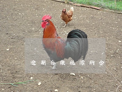 逾期补缴税滞纳金 逾期补缴税滞纳金