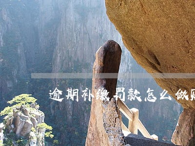 逾期补缴罚款怎么做账 逾期补缴罚款怎么做账