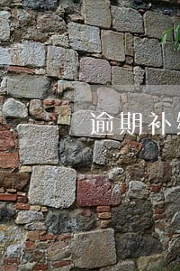 逾期补缴贷款 逾期补缴贷款