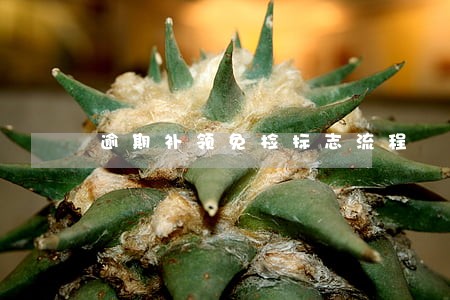逾期补领免检标志流程 逾期补领免检标志流程