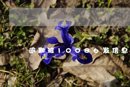 逾期被10086发信息 逾期被10086发信息