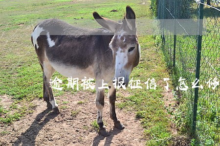 逾期被上报征信了怎么修复 逾期被上报征信了怎么修复