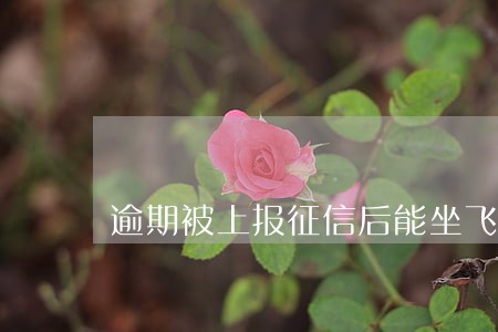 逾期被上报征信后能坐飞机吗 逾期被上报征信后能坐飞机吗