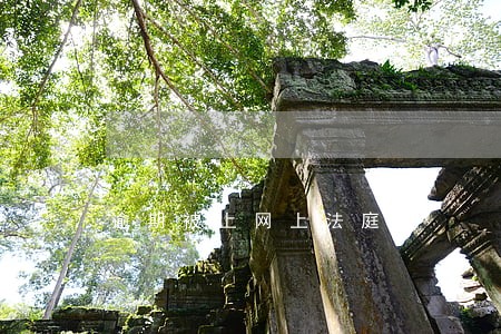 逾期被上网上法庭