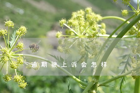 逾期被上诉会怎样 逾期被上诉会怎样