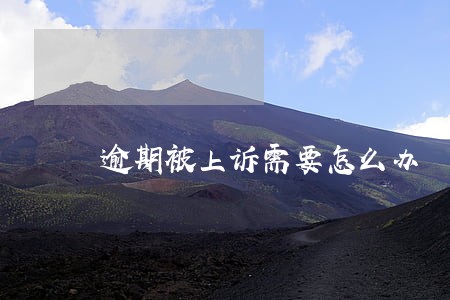 逾期被上诉需要怎么办 逾期被上诉需要怎么办