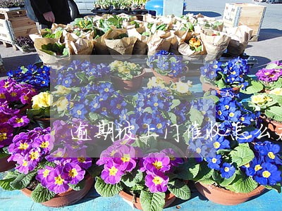 逾期被上门催收怎么办 逾期被上门催收怎么办