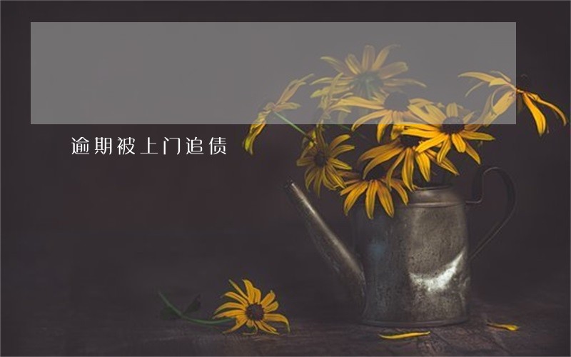 逾期被上门追债