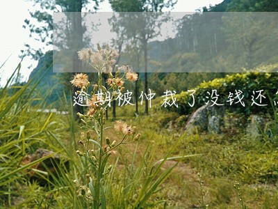 逾期被仲裁了没钱还怎么办 逾期被仲裁了没钱还怎么办