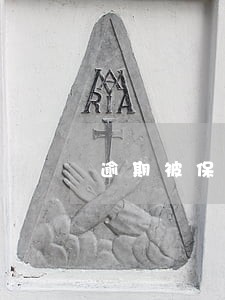 逾期被保险代偿 逾期被保险代偿