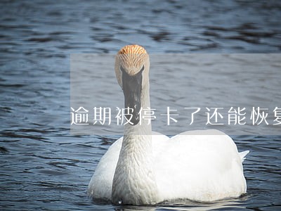 逾期被停卡了还能恢复使用吗 逾期被停卡了还能恢复使用吗