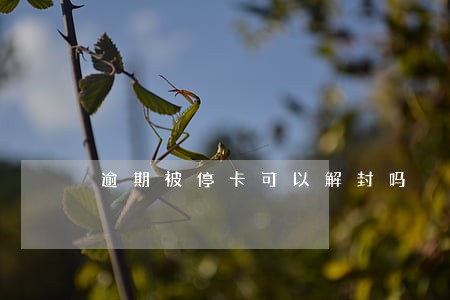 逾期被停卡可以解封吗 逾期被停卡可以解封吗