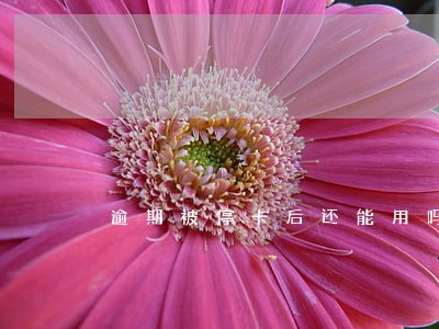 逾期被停卡后还能用吗 逾期被停卡后还能用吗