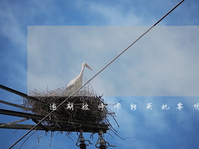 逾期被停卡能买机票吗 逾期被停卡能买机票吗