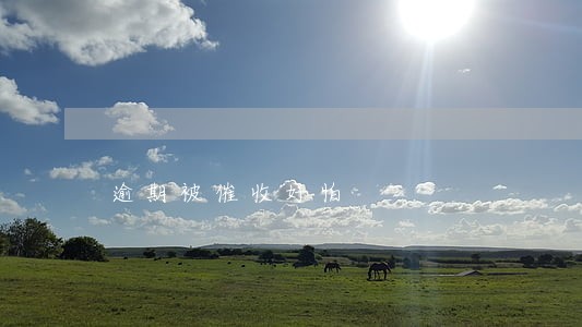 逾期被催收好怕 逾期被催收好怕