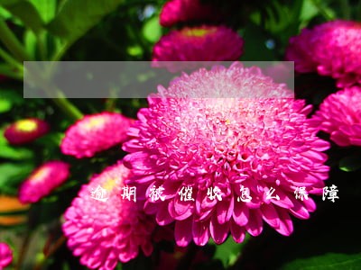 逾期被催收怎么保障 逾期被催收怎么保障