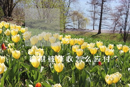 逾期被催收怎么应付 逾期被催收怎么应付