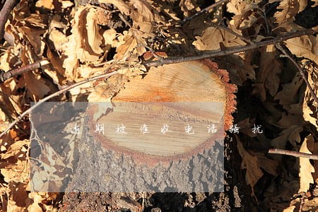 逾期被催收电话骚扰 逾期被催收电话骚扰