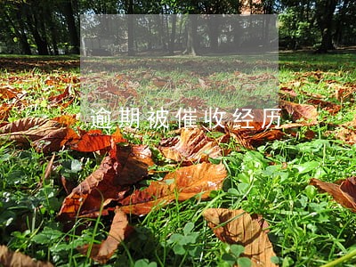 逾期被催收经历 逾期被催收经历