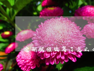 逾期被催收骂了怎么办 逾期被催收骂了怎么办