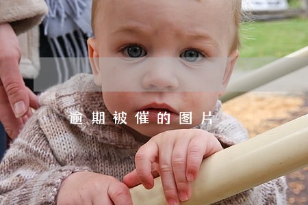 逾期被催的图片