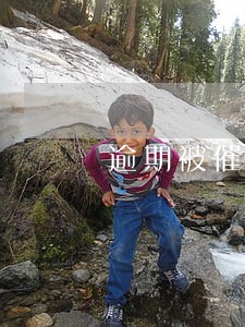 逾期被催还全款