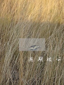 逾期被公司知道 逾期被公司知道