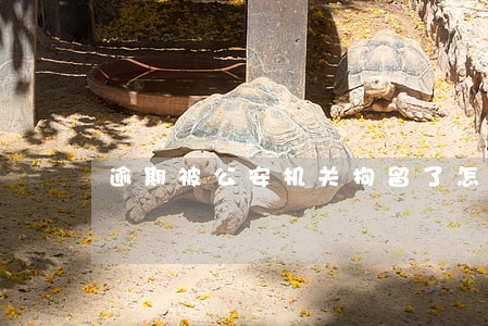 逾期被公安机关拘留了怎么办 逾期被公安机关拘留了怎么办