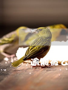 逾期被公开属于违法吗 逾期被公开属于违法吗